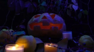 Ormandaki ürkütücü Cadılar Bayramı balkabağı. Gece çekim yapmak..