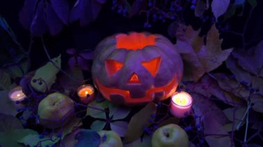 Ormandaki ürkütücü Cadılar Bayramı balkabağı. Gece çekim yapmak..