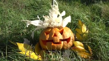 Cadılar bayramı balkabağı. Ekim 'de çekim.