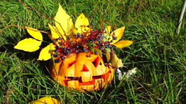 Cadılar bayramı balkabağı. Ekim 'de çekim.