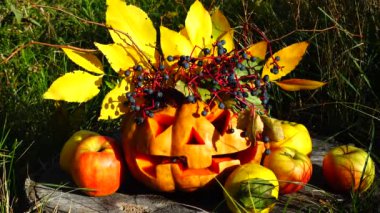 Cadılar bayramı balkabağı. Canavar ağaç kütüğüne oturur. Ekim 'de çekim.