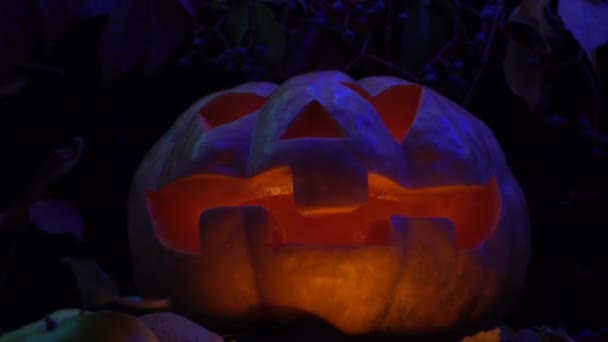 Zucca Halloween Spettrale Nella Foresta Sparatoria Notte — Video Stock