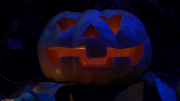 Spookachtige Halloween Pompoen Het Bos Schieten Nachts — Stockvideo