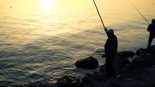 Pêcheur Attrape Poisson Mouvement Lent — Video