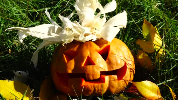 Läskig Halloweenpumpa Fotografering Oktober — Stockvideo