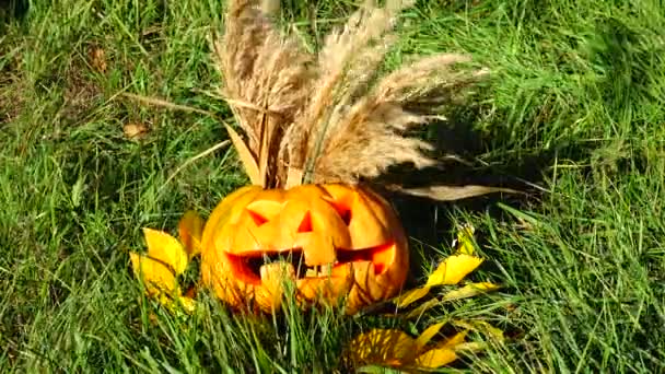 Strašidelná Halloweenská Dýně Natáčení Říjnu — Stock video