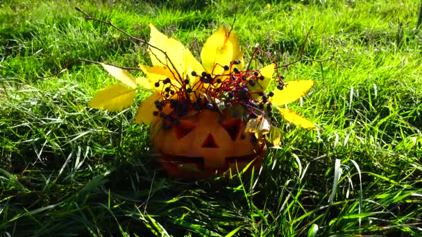 Fantomatique Citrouille Halloween Tournage Octobre — Video