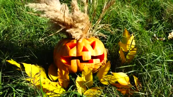 Griezelige Halloween Pompoen Schieten Oktober — Stockvideo