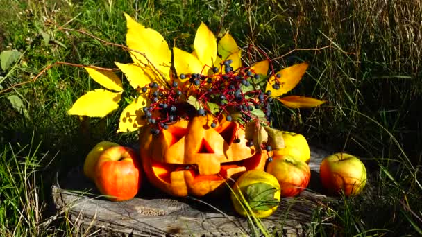 Espeluznante Calabaza Halloween Monstruo Sienta Tronco Árbol Disparos Octubre — Vídeo de stock