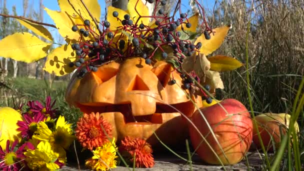 Gruseliger Halloween Kürbis Das Monster Sitzt Auf Einem Baumstumpf Dreharbeiten — Stockvideo