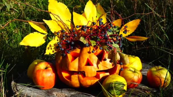 Straszna Dynia Halloween Potwór Siedzi Drzewie Zdjęcia Październiku — Wideo stockowe