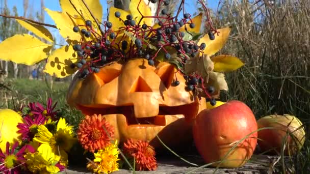 Espeluznante Calabaza Halloween Monstruo Sienta Tronco Árbol Disparos Octubre — Vídeo de stock