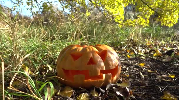 Gruseliger Halloween Kürbis Dreharbeiten Oktober — Stockvideo