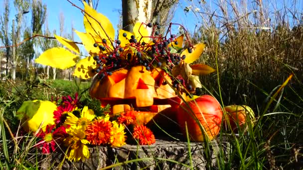 Espeluznante Calabaza Halloween Monstruo Sienta Tronco Árbol Disparos Octubre — Vídeo de stock