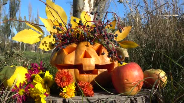 Griezelige Halloween Pompoen Het Monster Zit Een Boomstrook Schieten Oktober — Stockvideo