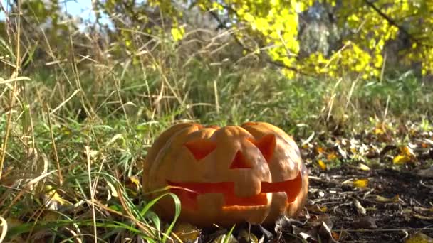 Gruseliger Halloween Kürbis Dreharbeiten Oktober — Stockvideo