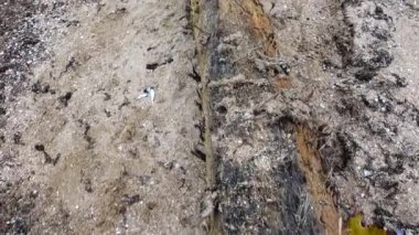 Fırtına kumlu deniz kıyısına kadim bir direk fırlattı. Eski batık geminin direği..