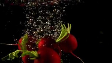 Suya turp düşmesi. Ağır çekim. Siyah arkaplan.