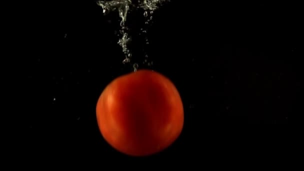水の中でトマトの落下 スローモーション 黒の背景 — ストック動画