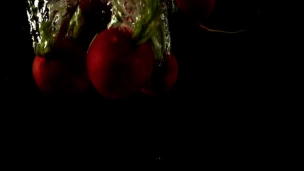 Falling Radish Water Slow Motion Black Background — Stock Video