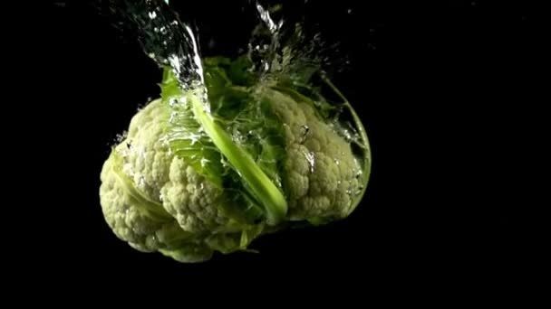 Falling Cauliflower Water Slow Motion Black Background — Stock Video