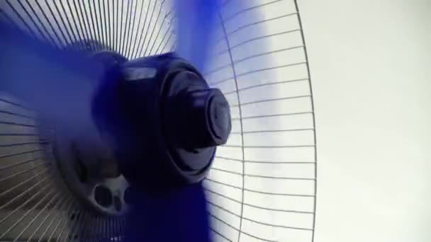 Fächerblätter Schießen Ventilatorbetrieb — Stockvideo