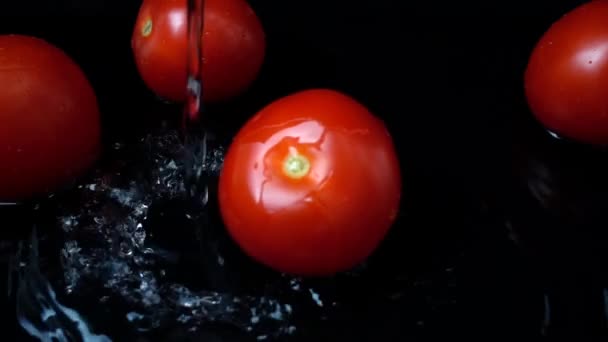 Ρυάκι Του Νερού Ρέει Στις Ντομάτες Αργή Κίνηση Αργή Κίνηση — Αρχείο Βίντεο