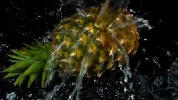 Stream Water Flows Pineapple Slow Motion — Stock Video