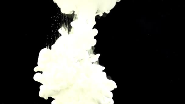 Abstrakte Formen Schießen Auf Schwarzem Hintergrund Mischen Von Farben — Stockvideo