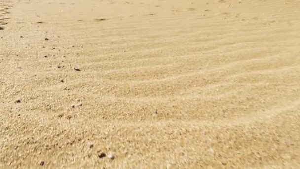 Sandy Dunes Shooting Movement — Stock Video