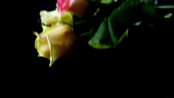 落下来的玫瑰在黑色的背景上 慢动作 — 图库视频影像