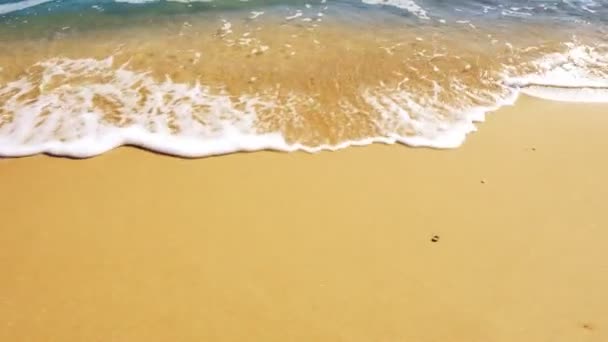 海と海岸 ビーチでの撮影 動きの中で撃つ — ストック動画