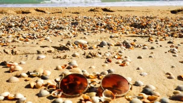 Sunglasses Sandy Beach Slow Motion — Stock Video