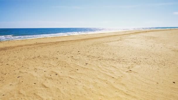 Mare Costa Sparatoria Sulla Spiaggia Sparatoria Nel Movimento — Video Stock