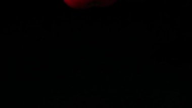 Domatesin düşmesi. Yavaş çekim.