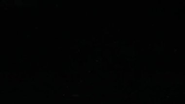 Limon dilimlerinin düşüşü. Yavaş çekim.