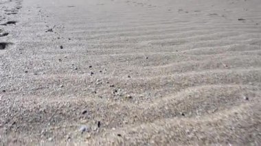 Kumullar. Harekette çekim..