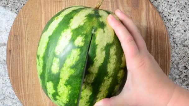 Schneiden Von Wassermelonen Arbeit Des Kochs Schießerei Küche — Stockvideo