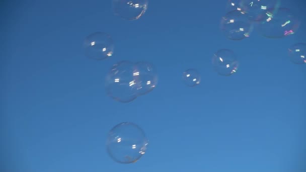 Tvål Bubblor Mot Bakgrunden Himlen Långsamma Rörelser — Stockvideo