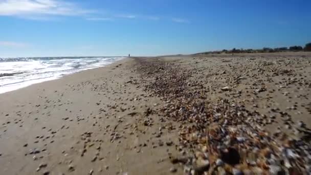 海洋和海岸 在海滩上拍摄 运动中的射击 — 图库视频影像