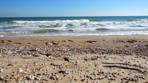 Θάλασσα Και Ακτή Πυροβολισμοί Στην Παραλία Αργή Κίνηση — Αρχείο Βίντεο