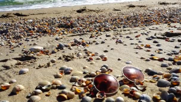 Sunglasses Sandy Beach Slow Motion — Stock Video