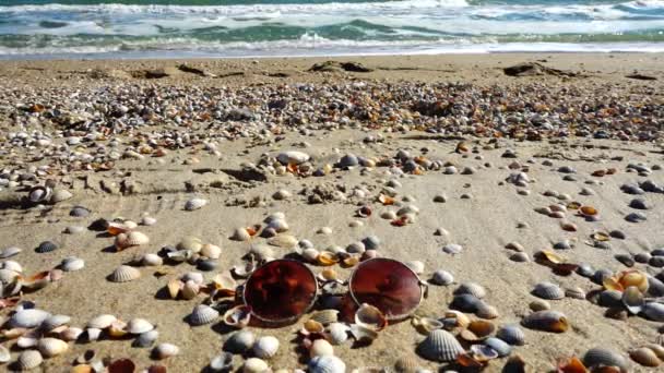 Lunettes Soleil Sur Plage Sable Fin Mouvement Lent — Video