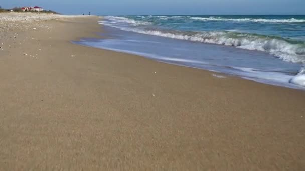 Sea Coast Shooting Beach Shooting Movement — Stock Video