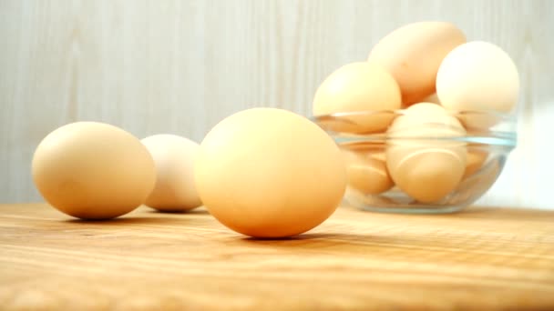 Turning Egg Shooting Chicken Eggs — Stock Video