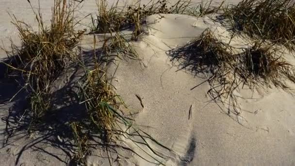 Sandy Dunes Shooting Movement — Stock Video