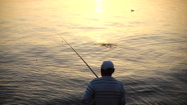 Pescador Apanha Peixe Movimento Lento — Vídeo de Stock