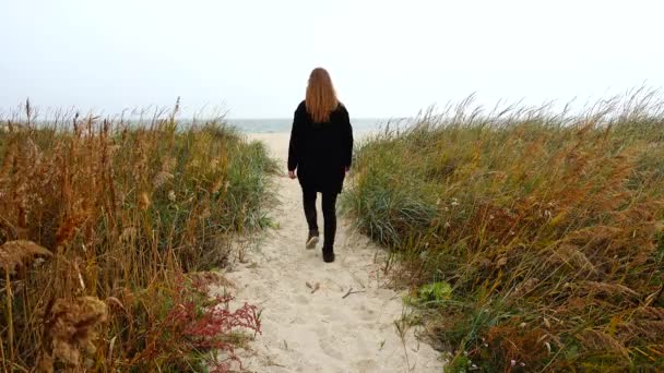 少女は歩道のビーチを海に行く 秋の銃撃戦 — ストック動画