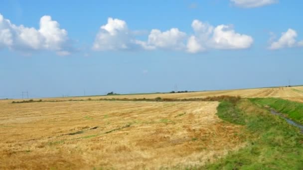 Campo Agrícola Disparos Movimiento — Vídeo de stock