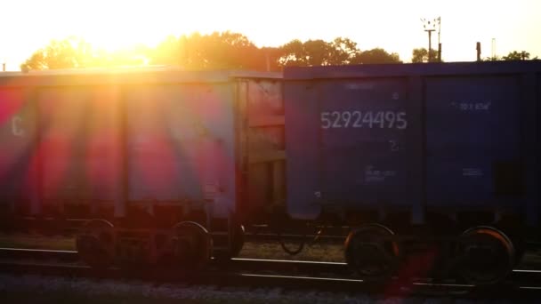 Güterwagen Des Eisenbahnzuges Schießen Der Bewegung — Stockvideo